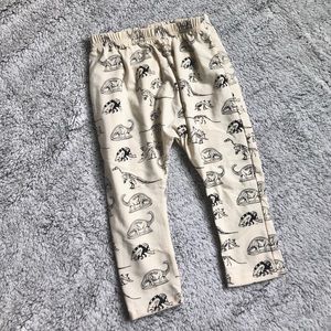 New Dinosaur Boutique Pants